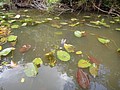 DSC05828.JPG