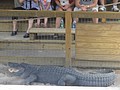 DSC05839.JPG