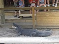 DSC05841.JPG