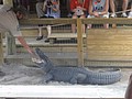 DSC05842.JPG