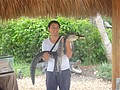 DSC05850.JPG
