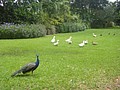 DSC05854.JPG