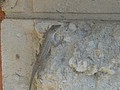 DSC05921.JPG