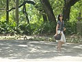 DSC05923.JPG