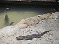 DSC05965.JPG