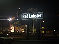 DSC05970.JPG