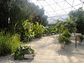 DSC05982.JPG