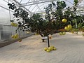 DSC05986.JPG