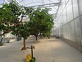 DSC05987.JPG