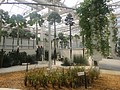 DSC05993.JPG