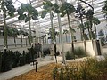 DSC05994.JPG