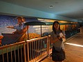 DSC05995.JPG