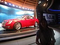 DSC06022.JPG