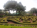 DSC06113.JPG
