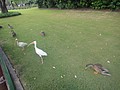 DSC06129.JPG