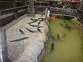 DSC06155.JPG