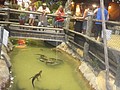 DSC06156.JPG