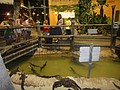 DSC06157.JPG