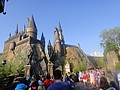 DSC06172.JPG