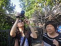 DSC06188.JPG