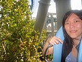 DSC06211.JPG