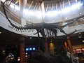DSC06244.JPG