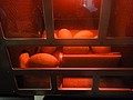 DSC06245.JPG