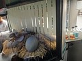 DSC06246.JPG