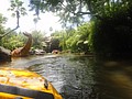 DSC06252.JPG