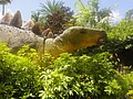 DSC06255.JPG