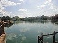 DSC06316.JPG