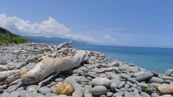 P1020005.JPG