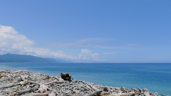P1020009.JPG