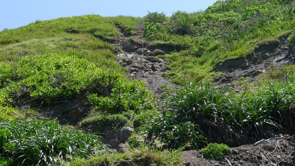 P1020021.JPG