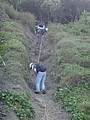 DSC00894.JPG