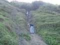 DSC00895.JPG