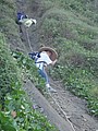 DSC00904.JPG