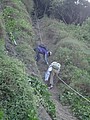 DSC00905.JPG