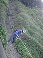 DSC00907.JPG