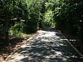 DSC05098.JPG