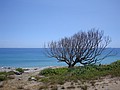 DSC05133.JPG