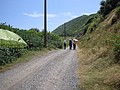DSC05134.JPG