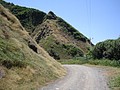 DSC05135.JPG