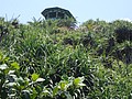 DSC05139.JPG