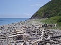 DSC05149.JPG
