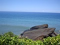DSC05152.JPG
