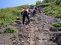 DSC05156.JPG