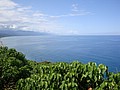DSC05162.JPG