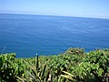 DSC05163.JPG