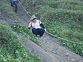 DSC05171.JPG